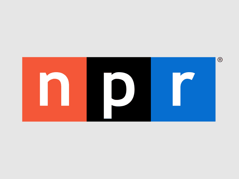 Open Sky Energy talks with Ira Flato on NPR's Talk Of The Nation